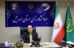 افزایش ۱۵ درصدی تولید گوشت مرغ در استان اردبیل