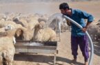 آبرسانی و بهسازی راه‌های عشایری اردبیل پیشرفت چشمگیر دارد