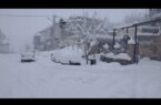 بارش اولین برف زمستانی در پارس آباد