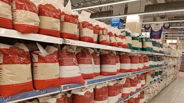 برنج هندی و پاکستانی ارزان شد| چه خبر از قیمت تخم مرغ؟