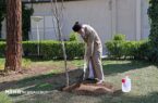 جای خالی رهبر در روز درختکاری؛ نهالی که راهش با اراده ملت ادامه دارد