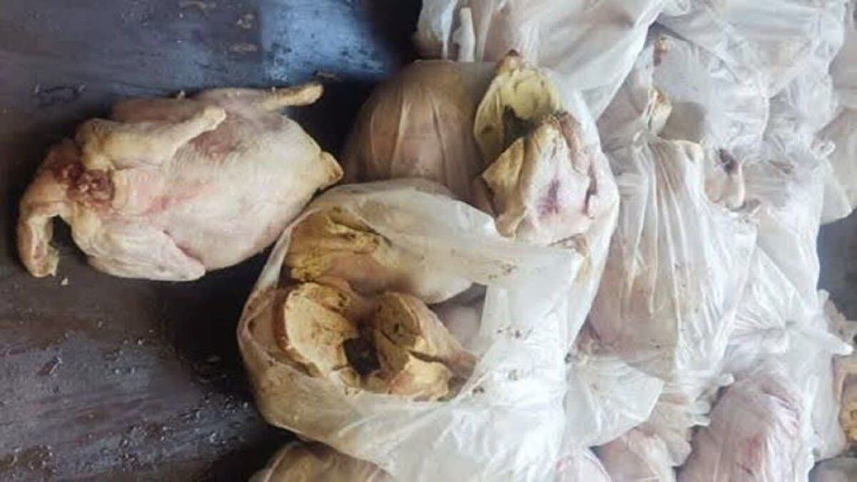 کشف انبار گوشت‌ فاسد در اردبیل