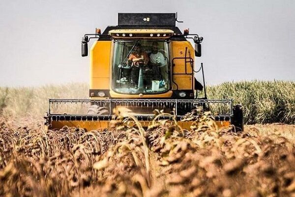 پیش بینی برداشت ۹۰۰ تن آفتابگردان از مزارع پارس آباد در اردبیل