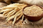 قیمت گندم برای بخش صنعت تغییر کرد