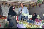 برداشت بیش از ۴۳ هزار تن انگور در مشگین‌شهر