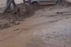 تصاویری از سیل امروز در شهر انگوت گرمی اردبیل