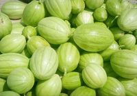 ۸۰۰ هکتار از اراضی زهک به کشت «پشمک» اختصاص یافت