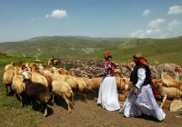 ثبت‌نام عشایر اردبیل برای وام نهاده‌های دامی آغاز شد