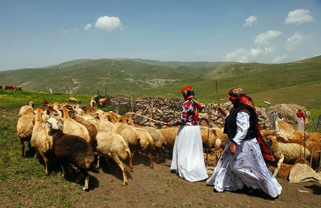ثبت‌نام عشایر اردبیل برای وام نهاده‌های دامی آغاز شد