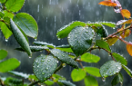 بارش و کاهش محسوس دما از دوشنبه در اردبیل